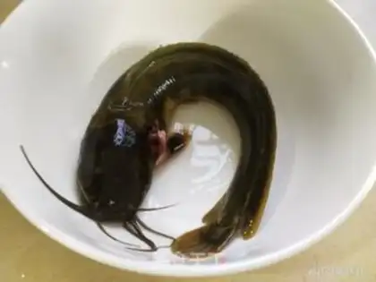Make Porridge step 0