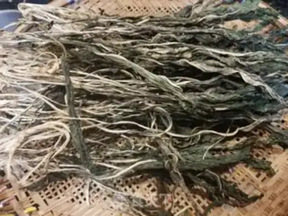 Make Rop and prune step 5