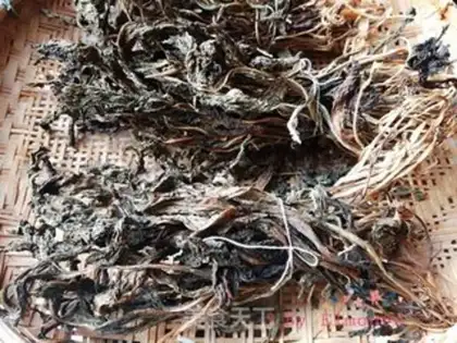 Make Rop and prune step 8