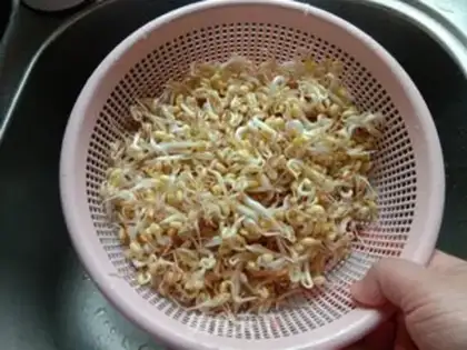 Make Jealousy and bean sprouts step 1