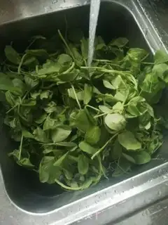 Make Peas seed beef soup step 0