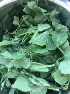 Make Sweet peas with hot chicken noodles step 7