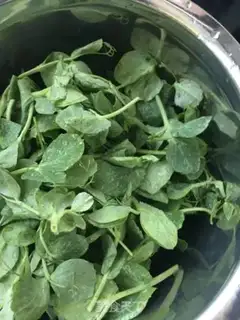 Make Sweet peas with hot chicken noodles step 8