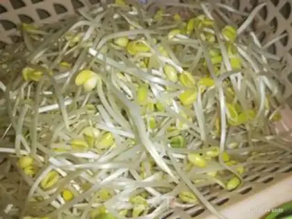 Make Clear the soybeans step 1
