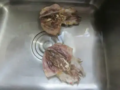 Make Squirt