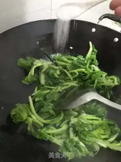 Make Quinopa step 7