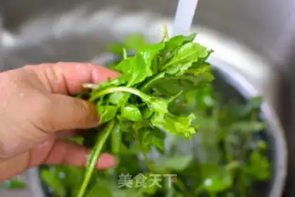 Make The salt sprouts step 0