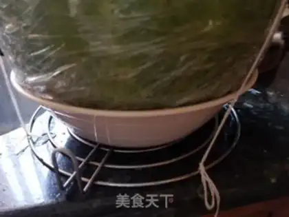Make Wintermelon step 12