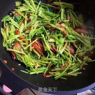 Make Precious celery step 8