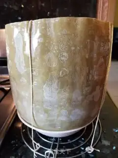 Make Wintermelon step 16