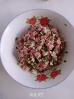 Make Spring rolls step 3