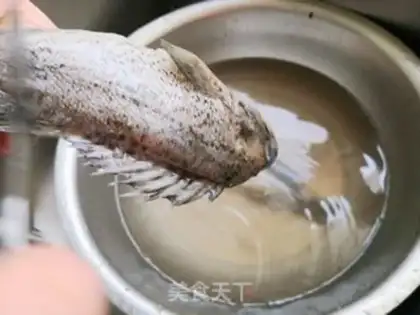 Make Blackfish soup step 0