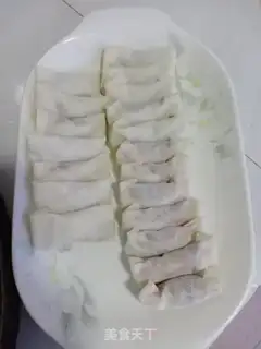Make Spring rolls step 4
