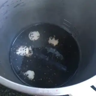 Make Western chorus 3 black rice step 5