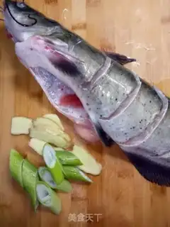 Make Scorch the fish step 0