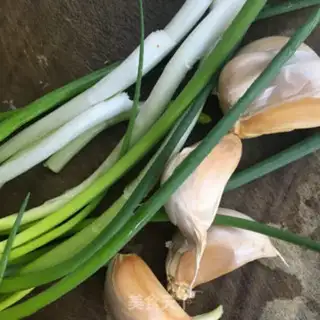 Make Sugar and radish step 1