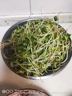 Make Black bean sprouts step 0