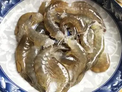Make Shrimp step 1