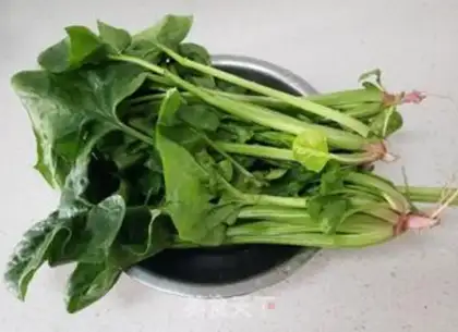 Make A spinach radish fan step 4