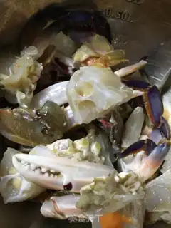 Make Crab clear step 6