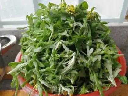 Make Rat weed step 0