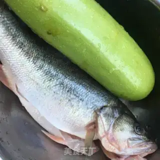 Make Squidfish step 0