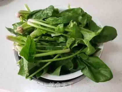 Make Spinach Juice step 0