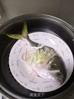 Make Vacuated goldfish step 5