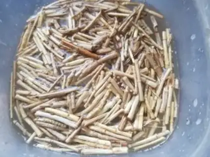 Make Orange mackerel cane step 0