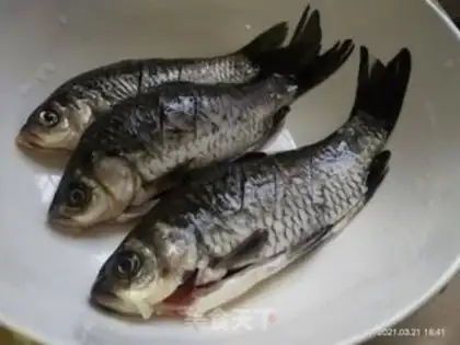Make Squid soup step 0