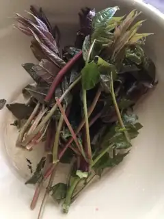 Make Fried eggs with sprouts step 0