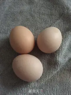 Make Fried eggs with sprouts step 1