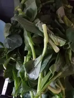 Make The mushroom cabbage bag step 1