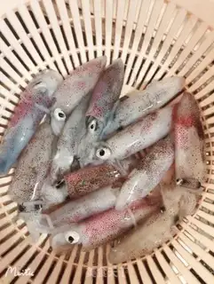 Make Ink-burned fish step 0