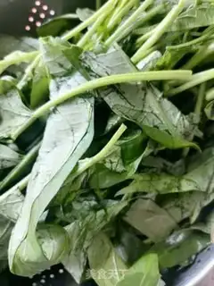 Make Garlic cabbage step 0