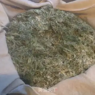 Make Artemisin step 5