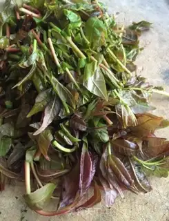 Make The sprouts and the peppers step 3