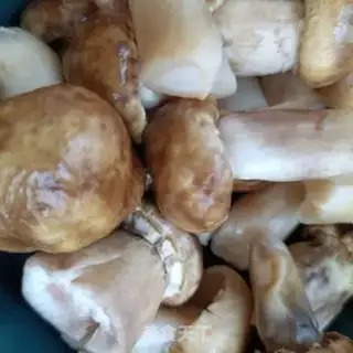 Make Pancakes step 0