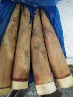 Make Oil step 0