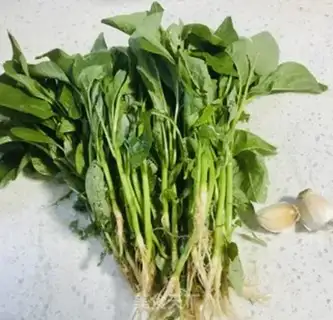 Make Garlic sauce step 0
