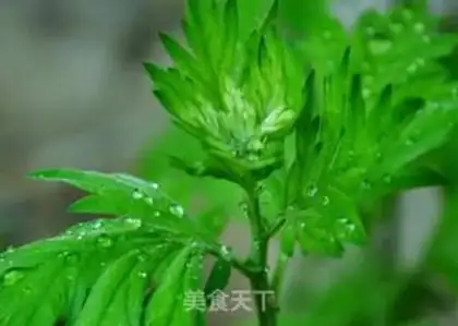 Make Qing Ming, Ei step 0