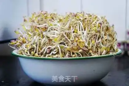 Make Pyramid sprouts step 0