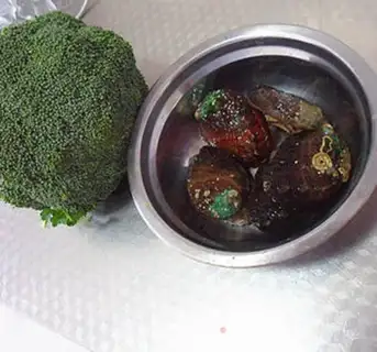 Make Water the abalone step 0