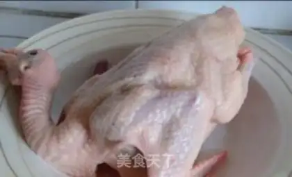 Make North Rock Dove step 0