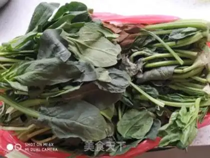 Make Spinach dumplings step 0