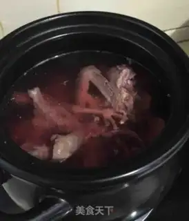 Make North Rock Dove step 1