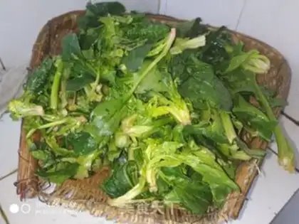 Make Spinach dumplings step 2