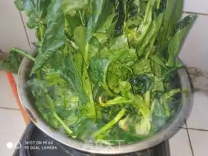 Make Spinach dumplings step 3