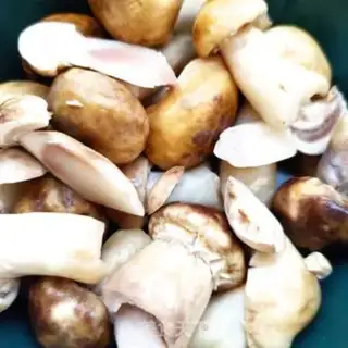 Make Roast kiss step 0