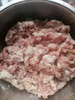 Make Fresh meat dumplings step 0